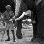 Poganiacz Słoni