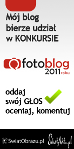 Mój blog bierze udział w konkursie Fotoblog 2011 roku