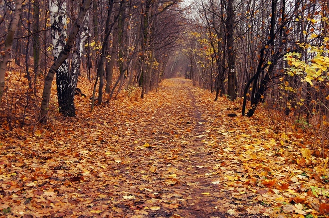 Jesienny spacer
