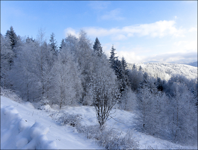  Zimowo w Beskidach.