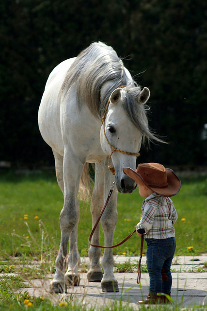 Horses can&#039;t talk but they can speak if You listen...  