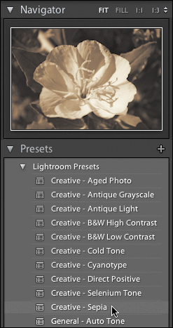 Photoshop Lightroom Presets detal maska Navigator temperatura biblioteka czerń ekspozycja fotografia kontrast histogram krzywa okno obszar narzędzie moduł efekt kolor suwak zdjęcie panel