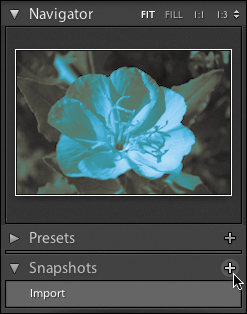 Photoshop Lightroom Presets detal maska Navigator temperatura biblioteka czerń ekspozycja fotografia kontrast histogram krzywa okno obszar narzędzie moduł efekt kolor suwak zdjęcie panel