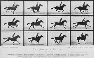 100 najważniejszych zdjęć świata. Eadweard Muybridge