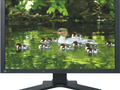 Monitor z niemal całym Adobe RGB - EIZO FlexScan SX2462W
