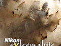 Nikon eXtremalnie VI: Cisza, spokój, sól, pył i aparat, czyli fotografowanie w kopalni