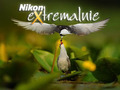Nikon eXtremalnie III: Gdzie łąki i pola, i bagna po pas,  gdzie natura wciąż dzika - tam fotograficzny raj!