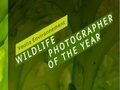 Wildlife Photographer of the Year - twój aparat ma mniej niż 10 megapikseli? Nie weźmiesz udziału w konkursie