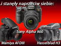 Spisek... Hasselblad H3, Mamiya AFDIII, Sony Alpha 900 - test porównawczy, część II
