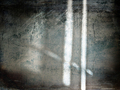 Foto obrazy Andrzeja Andrychowskiego w Galerii Obok ZPAF