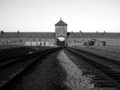 Ślady życia, ślady zbrodni - wystawa fotografii z Auschwitz-Birkenau