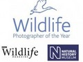 Fotografia dzikiej przyrody 2005 - jeszcze tylko tydzień w bielskiej BWA