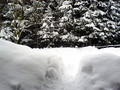 Zima 2010 - nowy konkurs fotograficzny firmy Olympus
