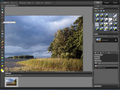 Adobe Photoshop Elements 9: Selektywna zmiana koloru