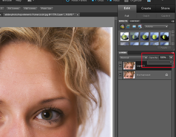 Adobe Photoshop Elements 9 Retusz twarzy