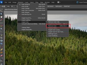 Adobe Photoshop Elements 10: Sepia i tonowanie zdjęcia