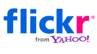 Microsoft kupi Flickra?