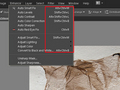 Adobe Photoshop Elements 10: Lista przydatnych skrótów