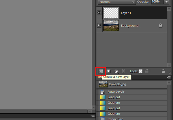 Adobe Photoshop Elements 10 obraz