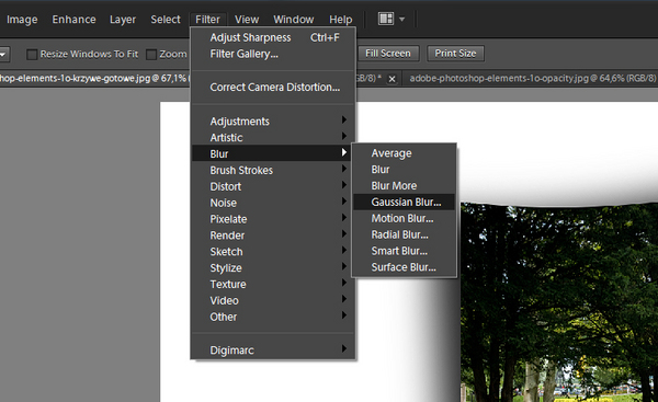 Adobe Photoshop Elements 10 wygięte zdjęcia