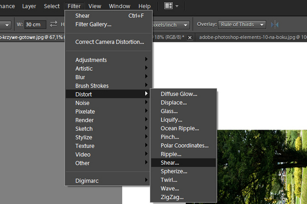 Adobe Photoshop Elements 10 wygięte zdjęcia