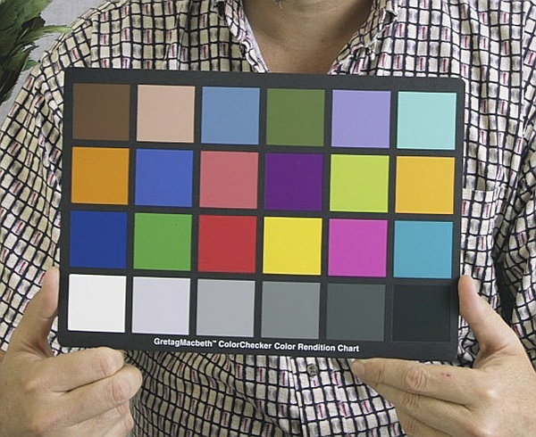 Alstor ColorChecker Classic Digital SG Passport kalibracja aparatu profile barwne format DNG kolorymetria fotografia cyfrowa kolory