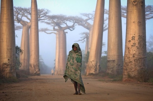 National Geographic 2012 Traveler Photo Contest