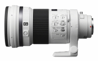 Sony 300 mm f/2.8 G SSM II - jasny obiektyw stałoogniskowy dla przyrodników i nie tylko