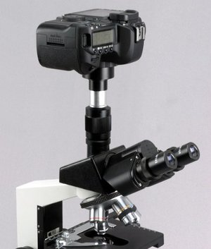 Lustrzanka Canon EOS podpięta do mikroskopu
