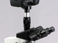 Lustrzanka Canon EOS podpięta do mikroskopu