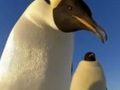 BBC ma pomysł na dokument o Antarktydzie. Użyli kamer-pingwinów