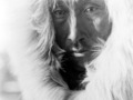 Portrety sprzed wieku, czyli Edward S. Curtis i rdzenni Amerykanie