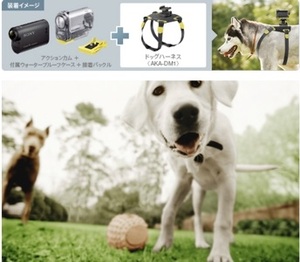 Sony AKA-DM1, czyli mocowanie do kamery dla psów