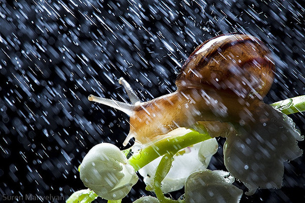 10 najpiękniejszych zdjęć deszczu