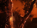 Przerażające piękno zdjęć Davida McNew z pożaru lasów