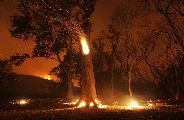 pożar lasów Angeles National Forest 