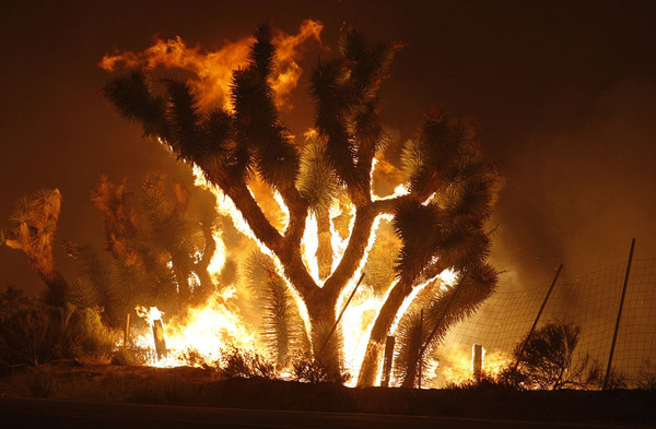 pożar lasów Angeles National Forest David McNew