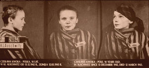 Fotograf z Auschwitz - premiera albumu