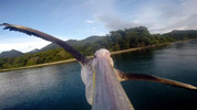 Kamera GoPro na dziobie pelikana