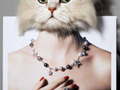 Koty w służbie fotografii mody 
