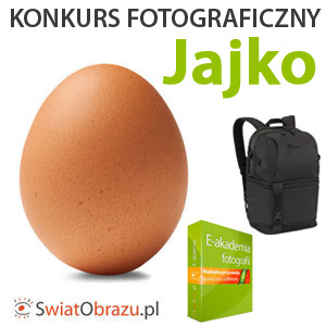 Konkurs fotograficzny Jajko, V edycja