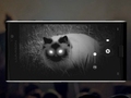 Lumigon T3 - telefon z nocną kamerą