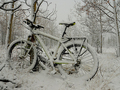 Jukon - rowerem przez północnokanadyjską zimę