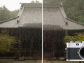 Japoński fotograf porównuje zdjęcia z aparatów iPhone 7 i Leica M9-P