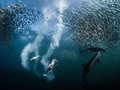 Konkurs National Geographic Nature Photographer of the Year 2016 rozstrzygnięty - galeria zdjęć