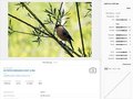 Pixel Peeper – narzędzie do odczytywania ustawień obróbki Lightrooma i ACR z metadanych zdjęcia