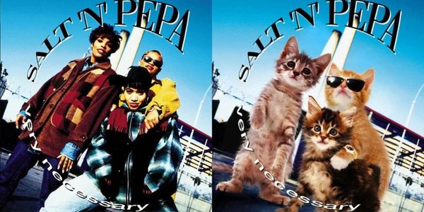 The Kitten Covers okładki płyt koty kociaki kocięta przeróbki parodia grafika zdjęcia Alfra Martini 