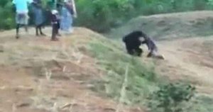 Mężczyzna śmiertelnie raniony przez niedźwiedzia, z którym chciał zrobić selfie