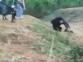 Mężczyzna śmiertelnie raniony przez niedźwiedzia, z którym chciał zrobić selfie