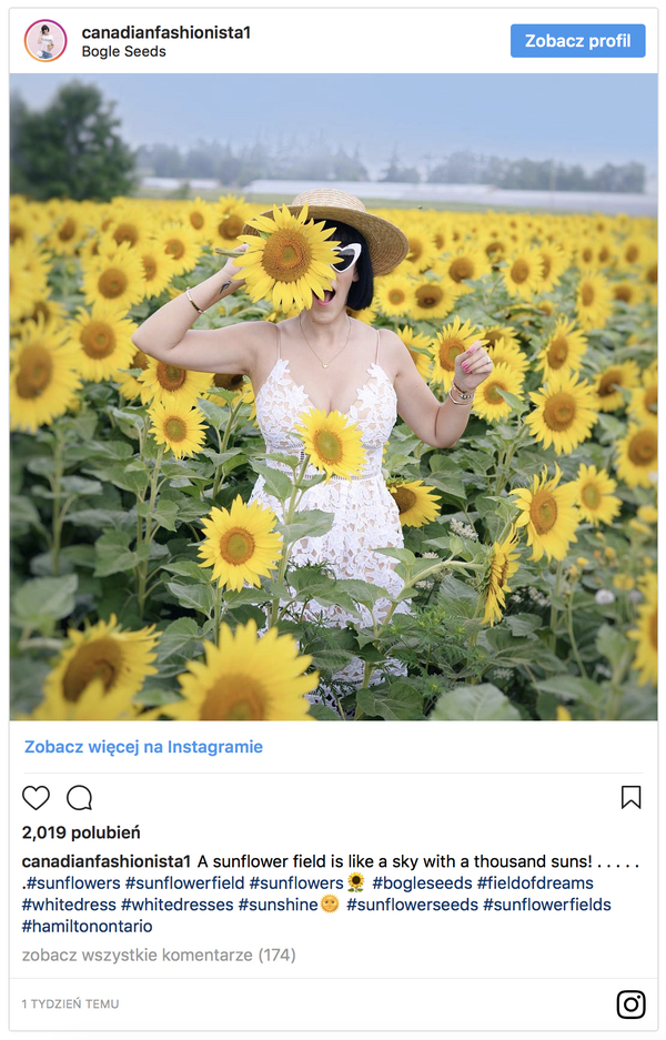 słoneczniki, instagram